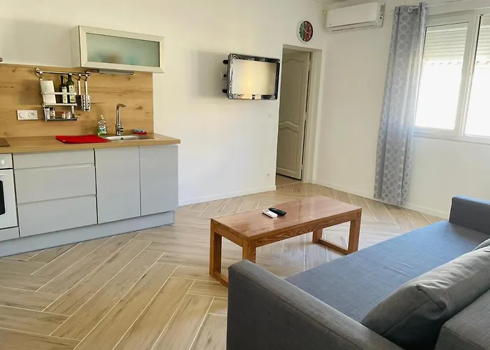Apartment T2 Proche Centre Et Canal